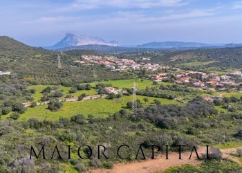 Foto 48 - Villa Via delle isole, San Teodoro - foto 48