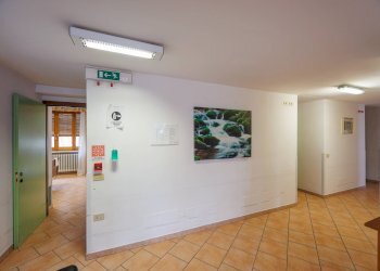 Foto 19 - Stable - Palace Strada Della Maddalena
 
170/2, Moncalieri - photo 19