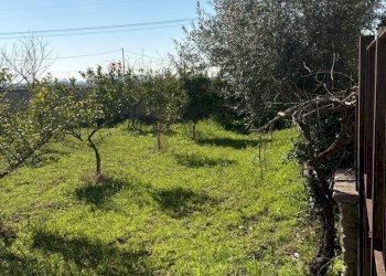 Giardino - Independent house Via IV Novembre
 
236, Carinola - photo 7