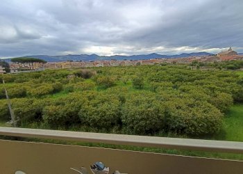 Foto 20 - Bilocale Viale Europa, Casagiove - foto 20