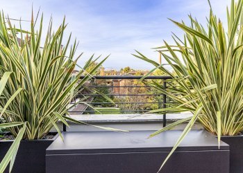 Giardino - Attico Busto Arsizio - foto 26