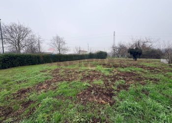 Giardino - Villa Via Rocchi
snc, San Martino Valle Caudina - foto 17