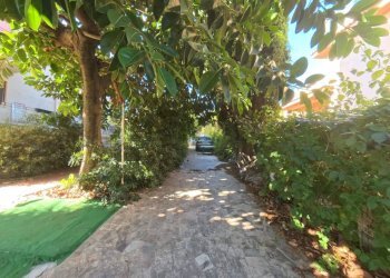 Giardino - Casa semi indipendente via del Nocciolo
 
3 A, Carini - foto 24