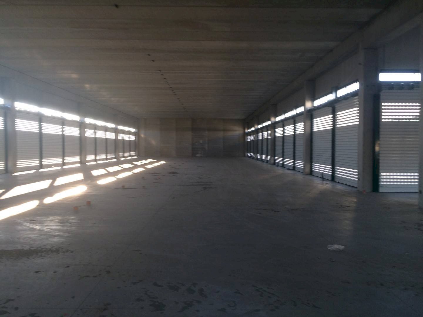 Foto 2 - Warehouse via forti
 
1, Pisa - photo 2