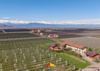 Vista - Villa Frazione Ruata Eandi, Saluzzo - photo 12