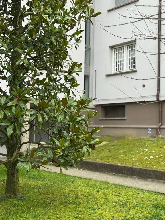 Giardino - Quadrilocale via Belvedere, 11, Zola Predosa - foto 3