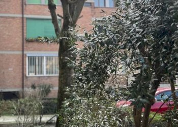 Giardino - Quadrilocale via Wolfgang Amadeus Mozart, 13, Bologna (zona Barca) - foto 34