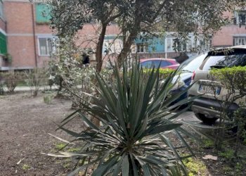 Giardino - Quadrilocale via Wolfgang Amadeus Mozart, 13, Bologna (zona Barca) - foto 35