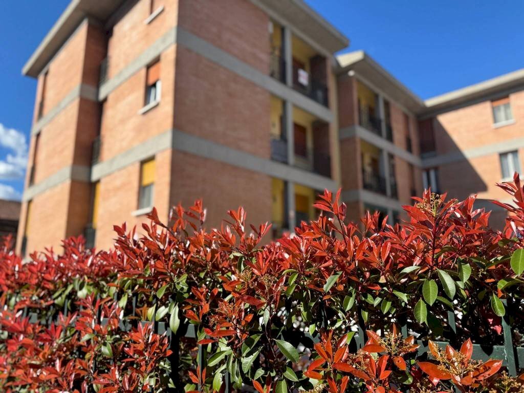 Facciata - Apartment via Vincenzo Golinelli, 6, Castenaso - photo 1