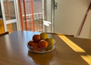 Altro - Apartment via Vincenzo Golinelli, 6, Castenaso - photo 16