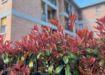 Facciata - Apartment via Vincenzo Golinelli, 6, Castenaso - photo 39