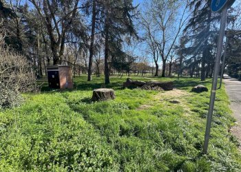 Terreno - Apartment via Vincenzo Golinelli, 6, Castenaso - photo 41