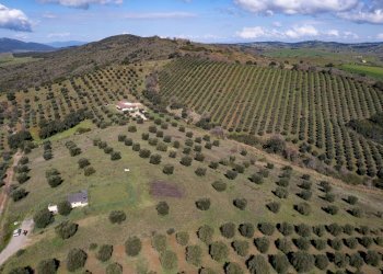 Foto 1 - Terreno agricolo località la marta, Orbetello - foto 1