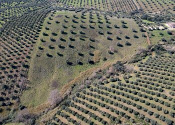 Foto 3 - Terreno agricolo località la marta, Orbetello - foto 3