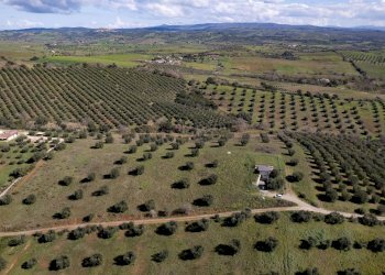 Foto 12 - Terreno agricolo località la marta, Orbetello - foto 12