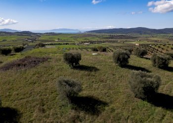 Foto 15 - Terreno agricolo località la marta, Orbetello - foto 15