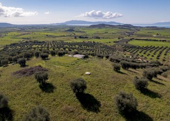 Foto 16 - Terreno agricolo località la marta, Orbetello - foto 16