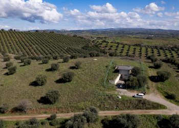 Foto 17 - Terreno agricolo località la marta, Orbetello - foto 17