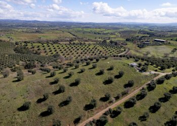 Foto 18 - Terreno agricolo località la marta, Orbetello - foto 18