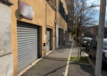 Zona - Shop piazza di San Pancrazio, Roma - photo 3