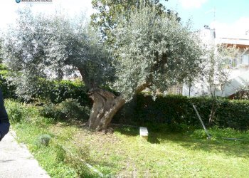 Foto 4 - Villa Via Lampedusa, Termoli - foto 4