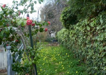 Foto 49 - Villa Via Lampedusa, Termoli - foto 49