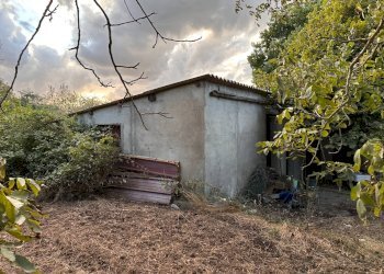Foto 2 - Agricultural land via San Fantino, Borgia - photo 2
