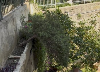 Giardino - Appartamento Via N. Fabrizi, Genova - foto 55