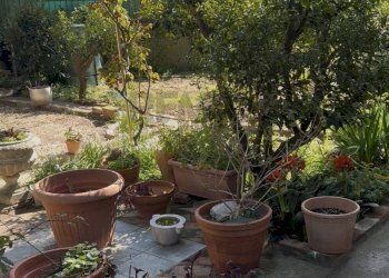 Giardino - Appartamento Via N. Fabrizi, Genova - foto 57