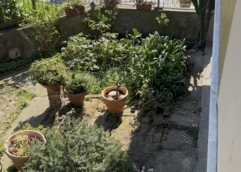 Giardino - Appartamento Via N. Fabrizi, Genova - foto 67