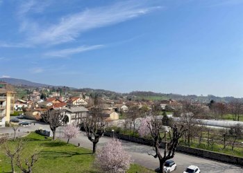 Vista - Trilocale via Luigi Tegas, 42, Luserna San Giovanni - foto 26