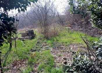 Terreno - Villa Frazione Bricco Visconti Sud, 14, Valfenera - foto 23