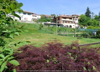 P1130932 (1) - Building land via Vaudamus, Rivalba - photo 4