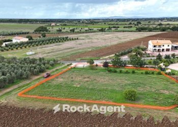 Terreno - Terreno edificabile via Campigliese, 21, Bibbona - foto 3