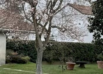 Terreno - Rustico via Manzoni, 5, Frascarolo - foto 30
