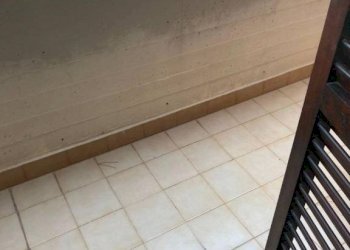 Terrazzo - Villa a Schiera viale Roma, 383, Massa - foto 22