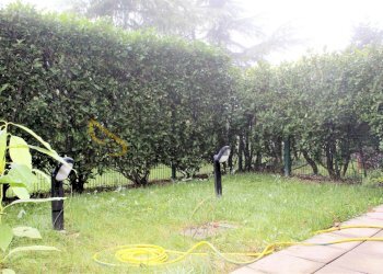 Giardino.JPG - Appartamento Via Pietro Verri, Parabiago - foto 23