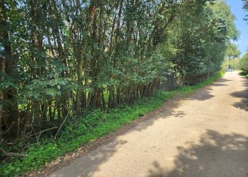 3.jpg - Terreno agricolo San Sperate - foto 3