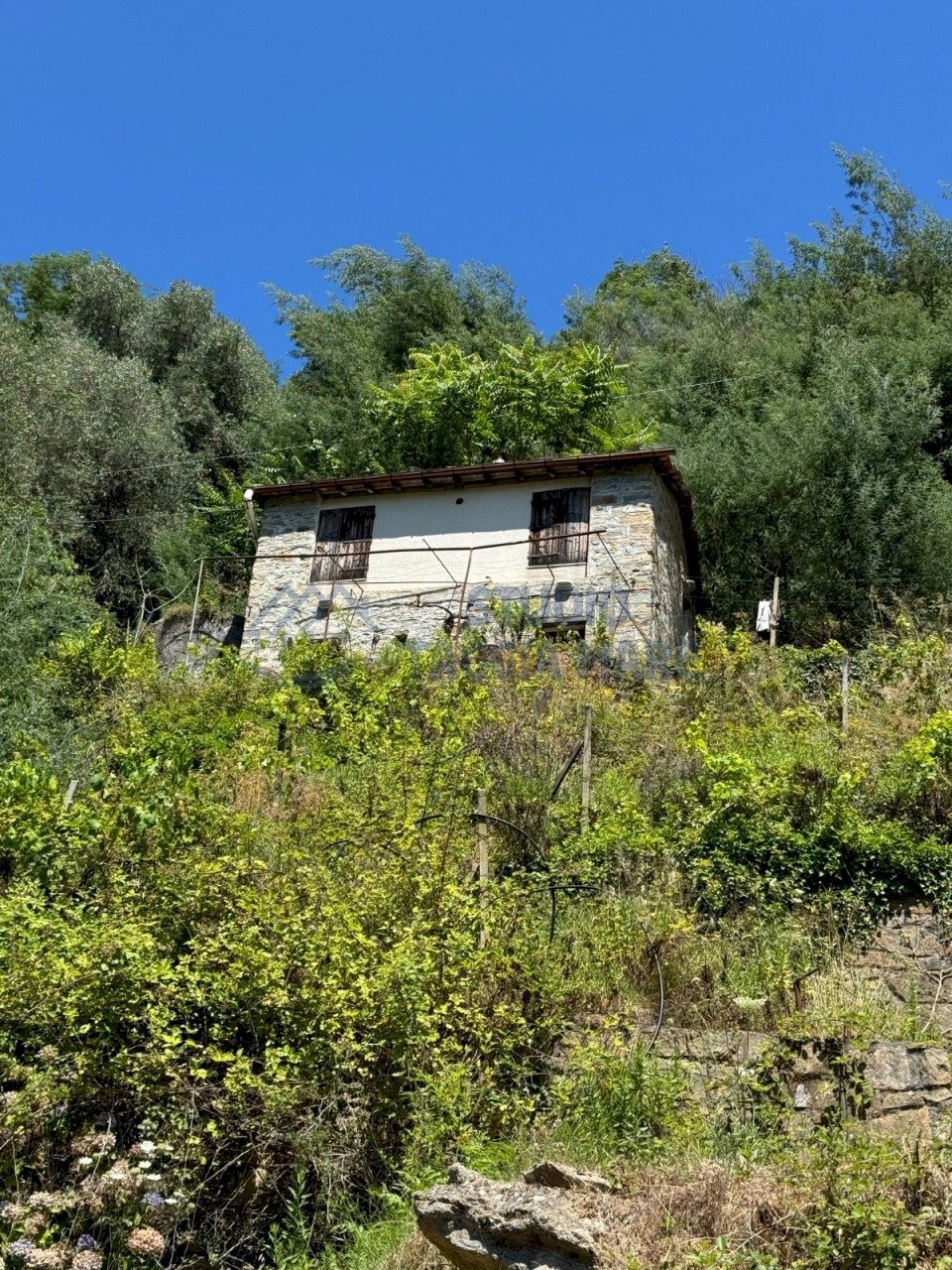 17.jpeg - Rustic Regione Ortai, Badalucco - photo 1