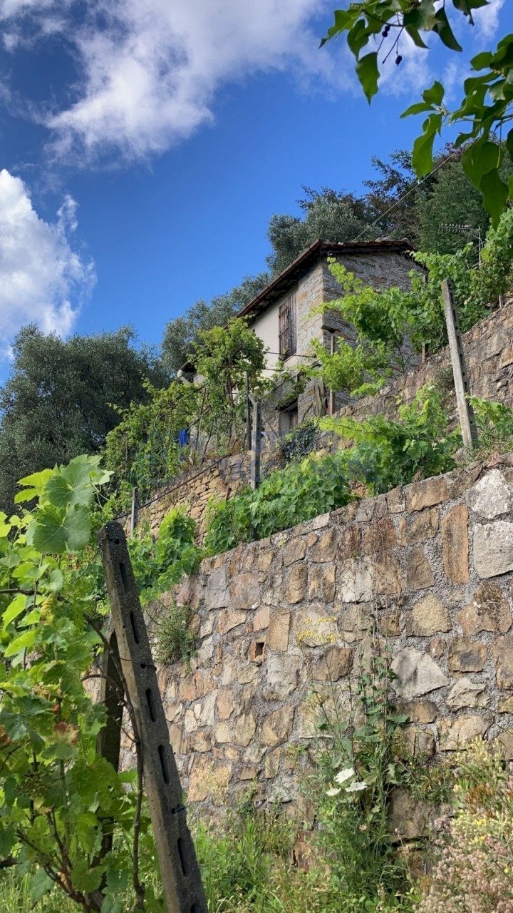 1.jpeg - Rustic Regione Ortai, Badalucco - photo 2