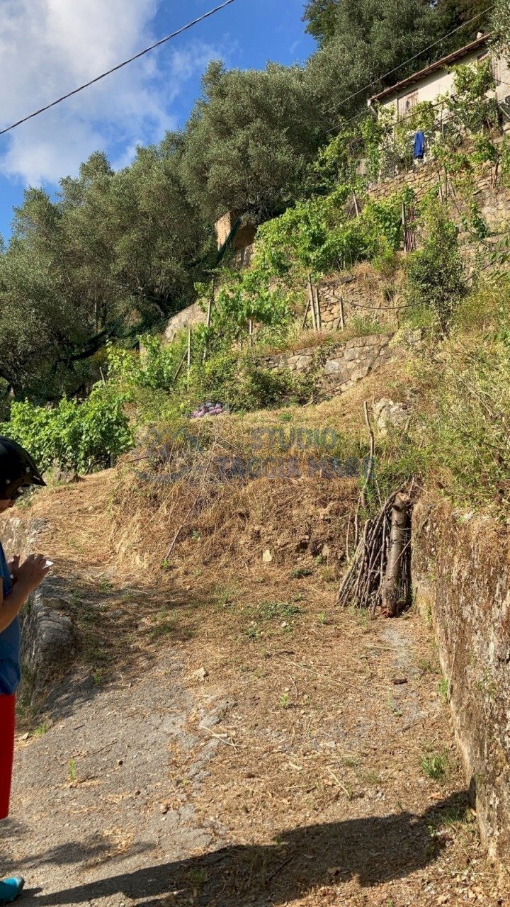 2.jpeg - Rustic Regione Ortai, Badalucco - photo 3