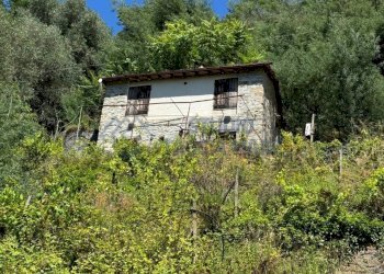 17.jpeg - Rustic Regione Ortai, Badalucco - photo 1