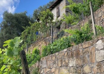 1.jpeg - Rustic Regione Ortai, Badalucco - photo 2