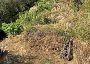 2.jpeg - Rustic Regione Ortai, Badalucco - photo 3