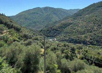 8.jpeg - Rustic Regione Ortai, Badalucco - photo 8