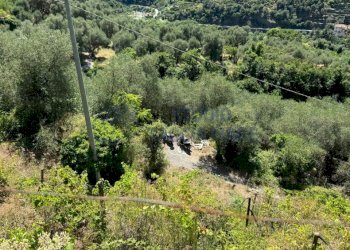 13.jpeg - Rustic Regione Ortai, Badalucco - photo 12