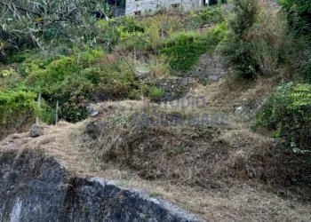 WhatsApp Image 2026-03-19 at 12.30.30.jpeg - Rustic Regione Ortai, Badalucco - photo 14