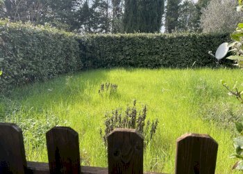 IMG_6741.jpeg - Trilocale Località San Martino, Riparbella - foto 12