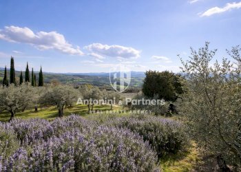casale le lavande 35.jpg - Casale Strada Provinciale 385 385, Gualdo Cattaneo - foto 30