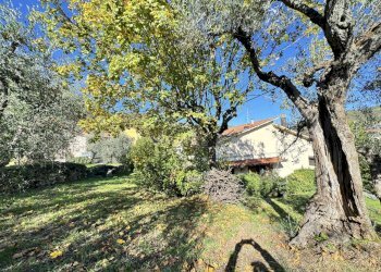 IMG_1041.jpg - Villa Via Val di Bisenzio 267, Vaiano - photo 5